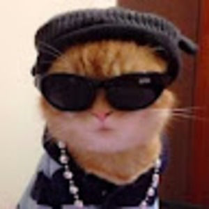 Meet your Posher, Ana